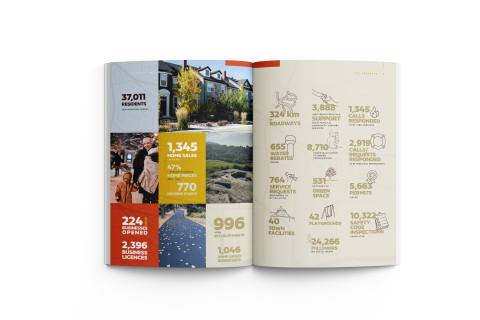 picture of statistics from Report to the Community