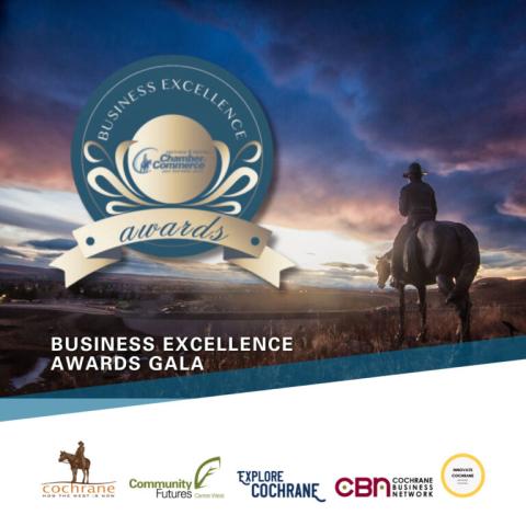 Business Excellence Awards Gala