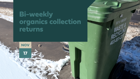 bi-weekly organics collection returns Nov. 17